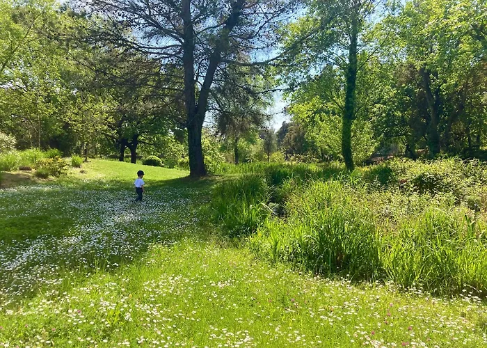 아파트 Les Restanques Iris 2124 *